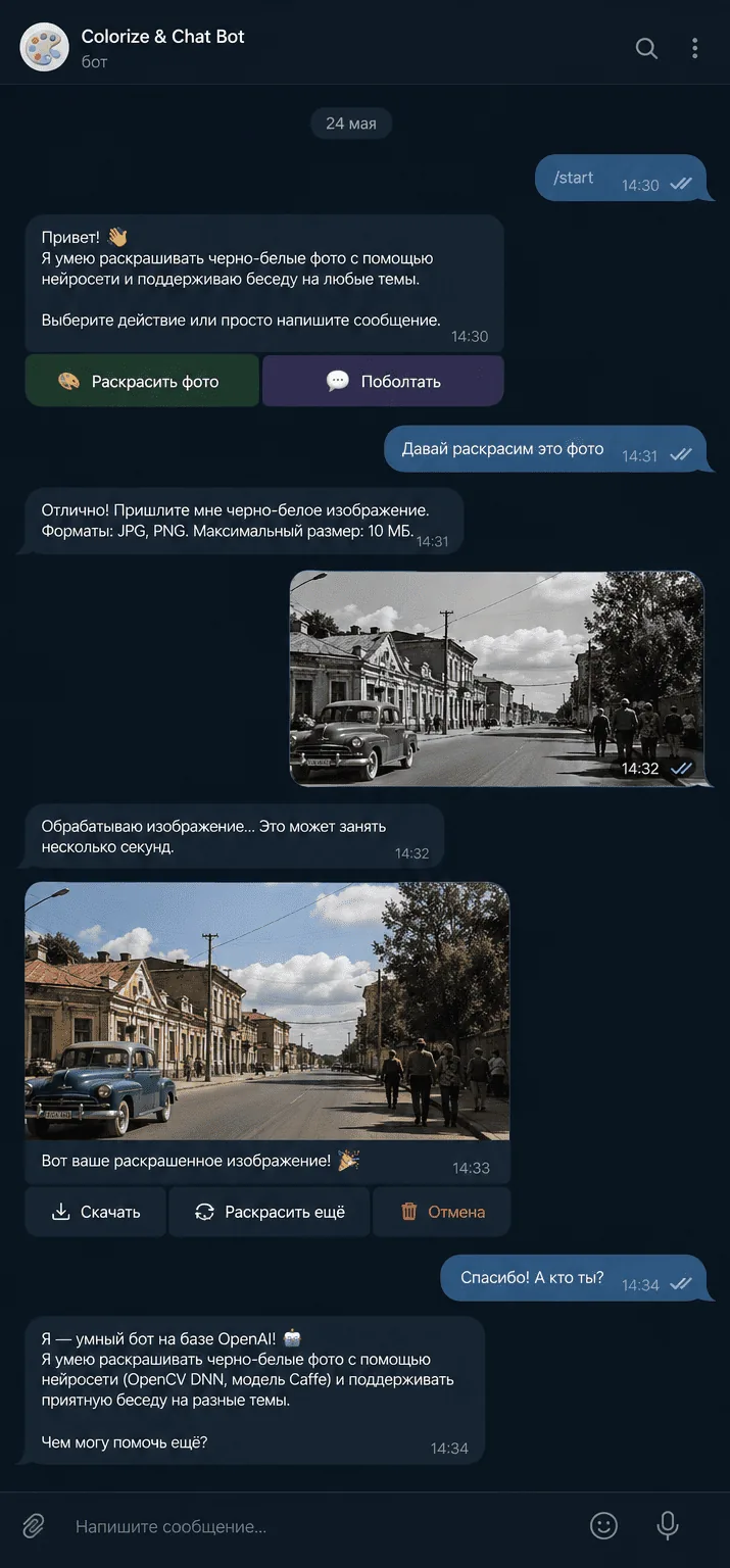 Vorschau des Projekts „KI-Bot zum Kolorieren von Fotos“